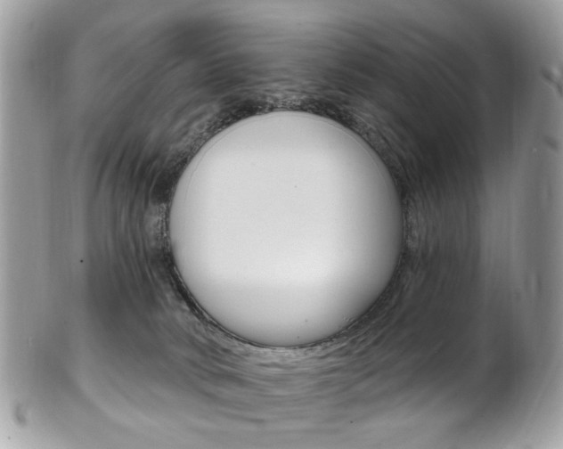 X0000101420034200807071041