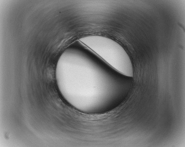 X0000101420035200807071041
