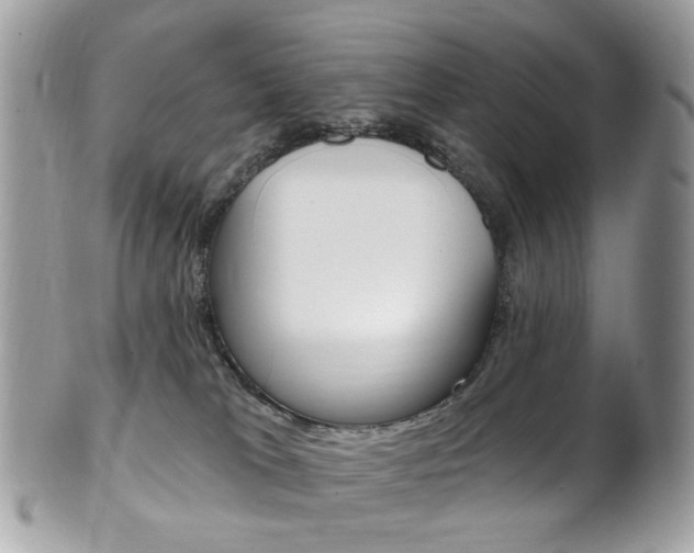 X0000101420037200807071041