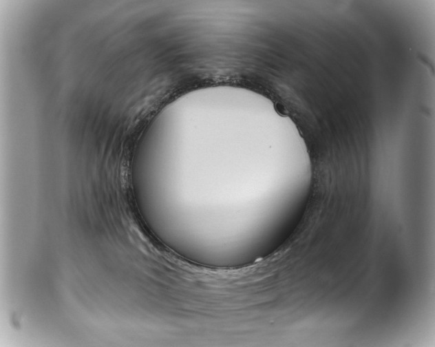 X0000101420039200807071041