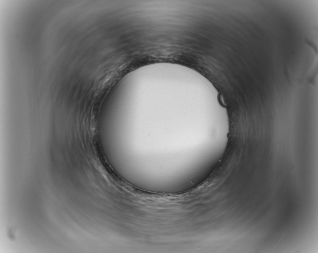 X0000101420040200807071041