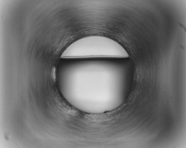 X0000101420041200807071041