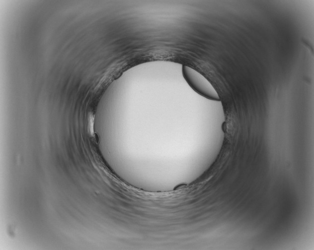 X0000101420046200807071041