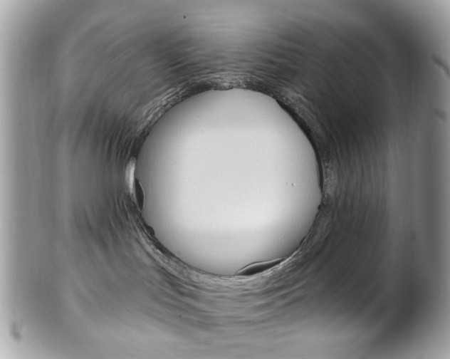 X0000101420047200807071041