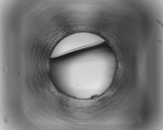 X0000101420048200807071041