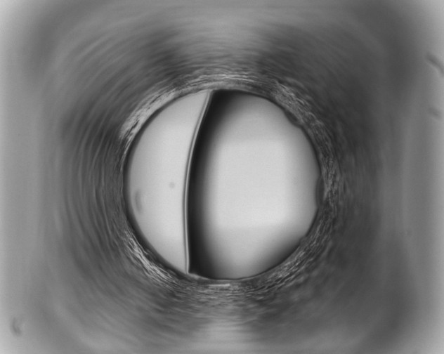 X0000101420050200807071041