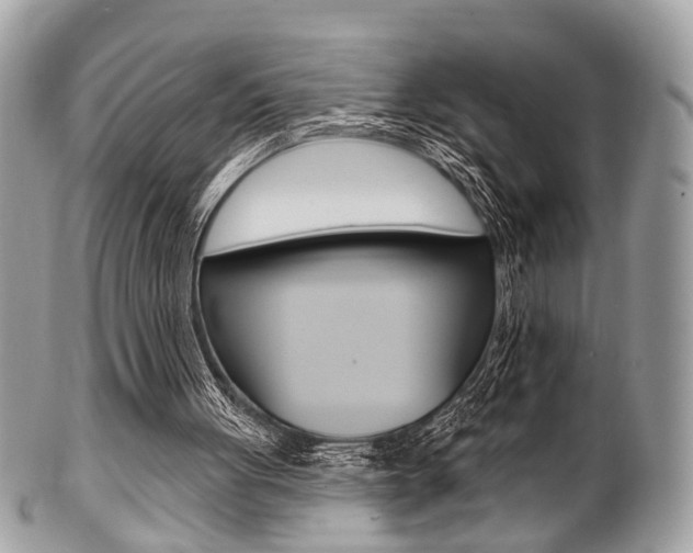 X0000101420051200807071041