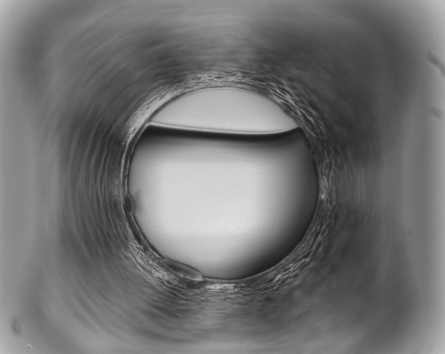X0000101420052200807071041
