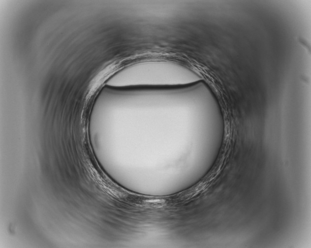 X0000101420053200807071041