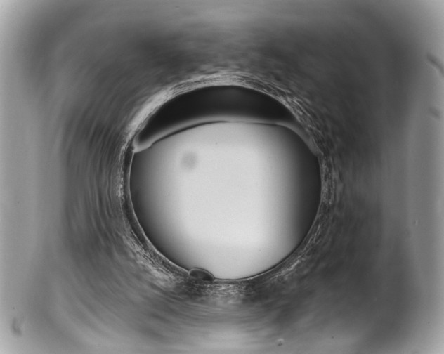 X0000101420056200807071041