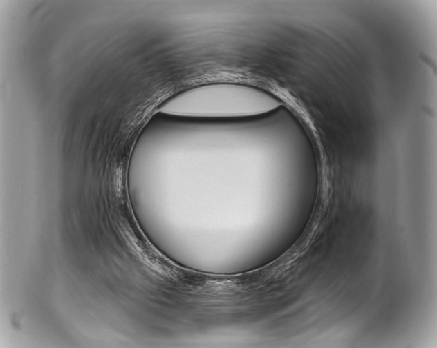 X0000101420057200807071041