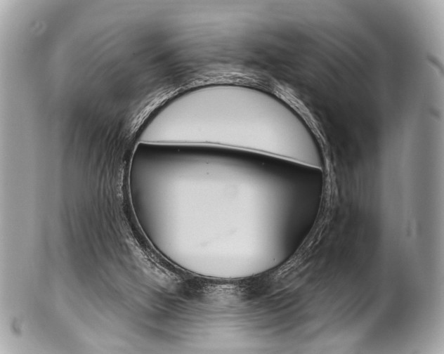 X0000101420058200807071041