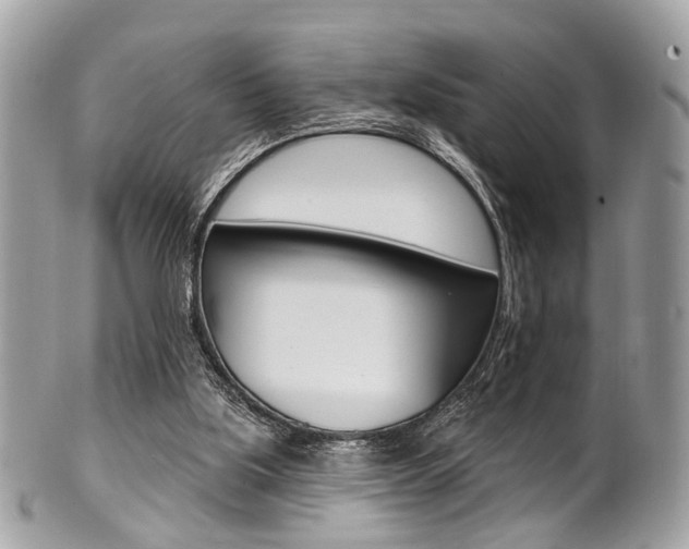 X0000101420059200807071041