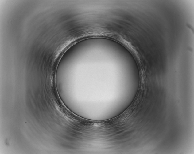X0000101420060200807071041