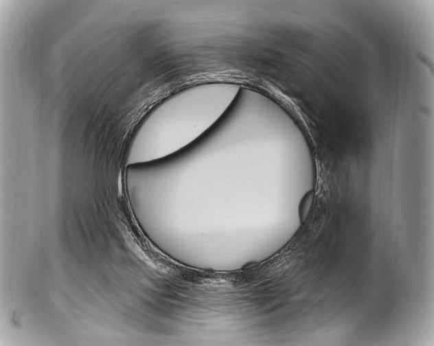 X0000101420061200807071041