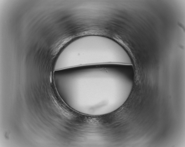X0000101420062200807071041