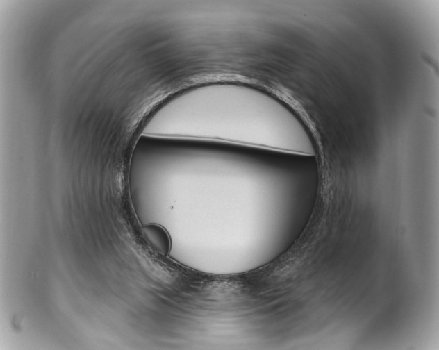 X0000101420063200807071041