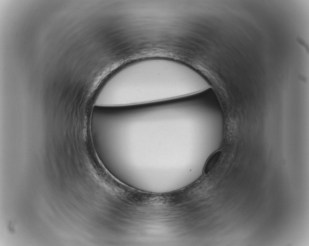 X0000101420064200807071041