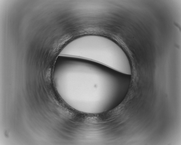 X0000101420066200807071041
