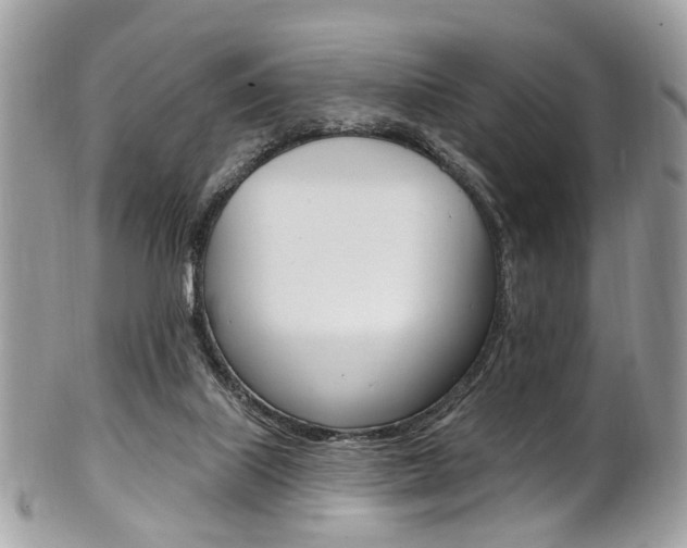 X0000101420067200807071041