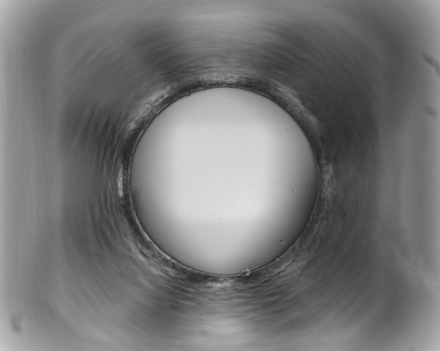 X0000101420068200807071041