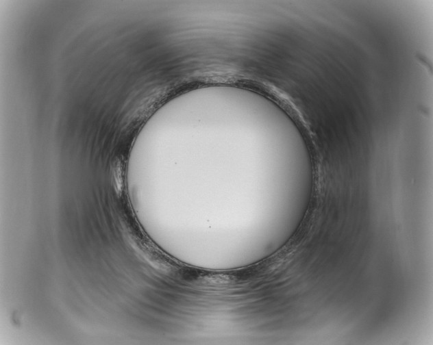 X0000101420069200807071041