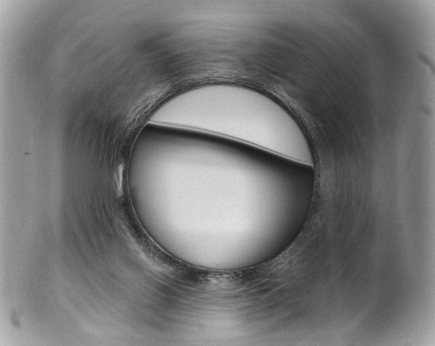 X0000101420070200807071041