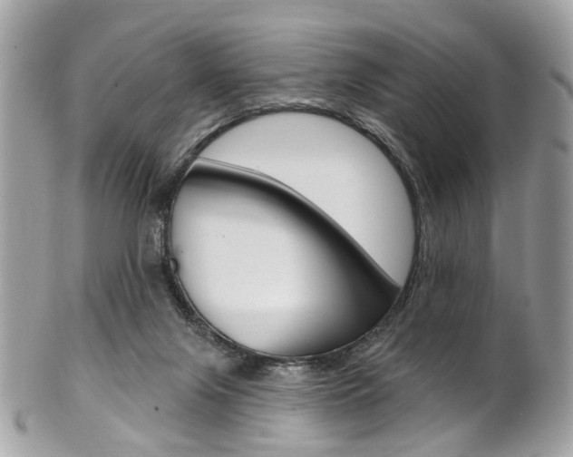 X0000101420071200807071041