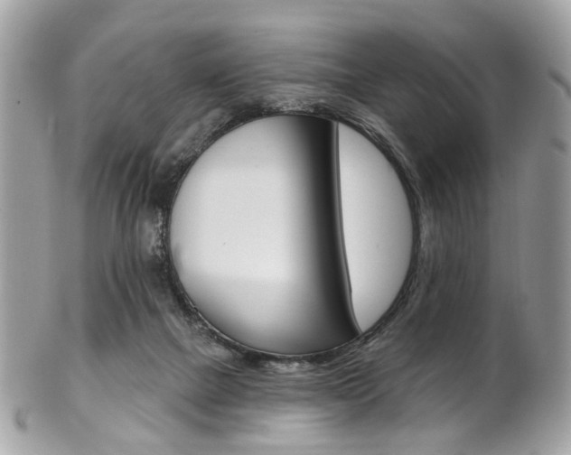 X0000101420073200807071041