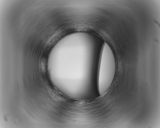 X0000101420074200807071041