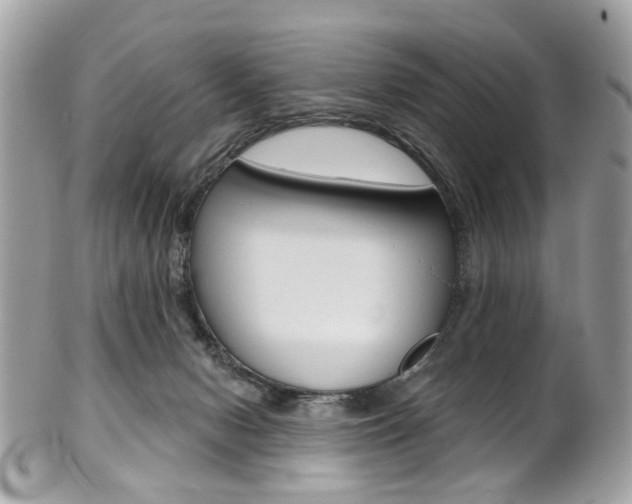 X0000101420078200807071041