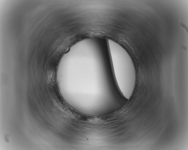 X0000101420079200807071041