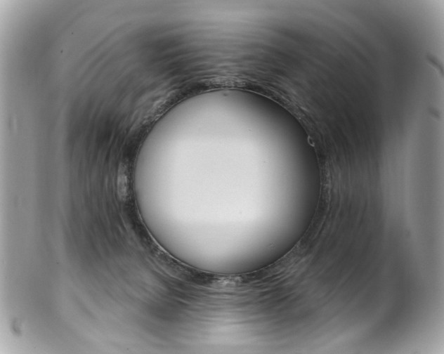 X0000101420080200807071041
