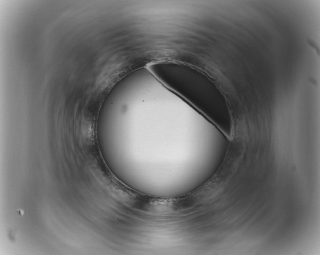 X0000101420084200807071041