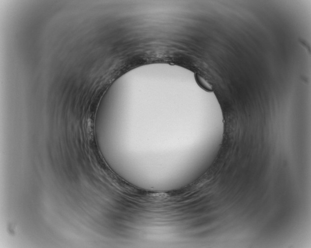 X0000101420087200807071041