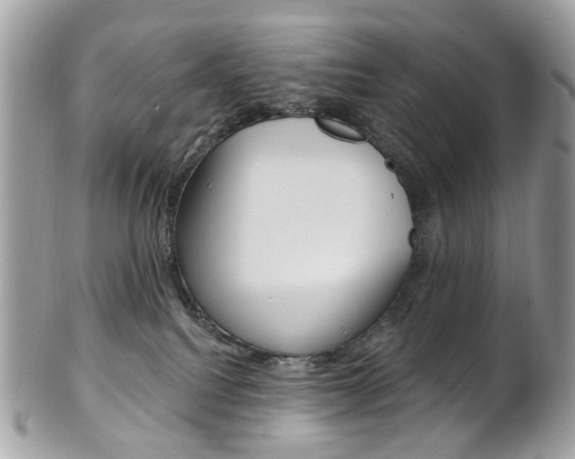 X0000101420088200807071041