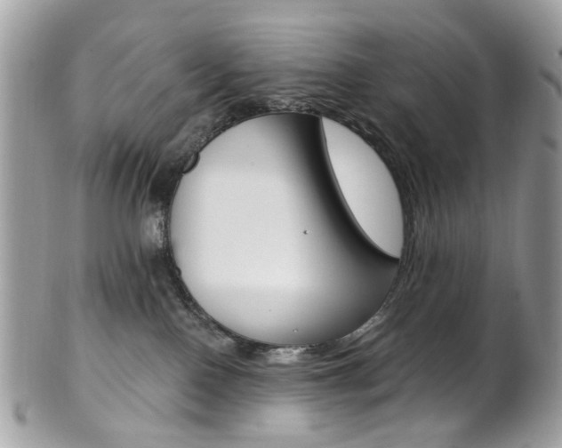 X0000101420090200807071041
