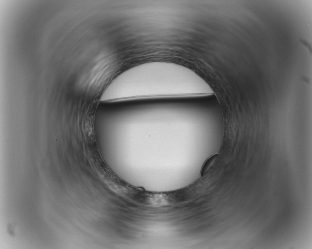 X0000101420091200807071041
