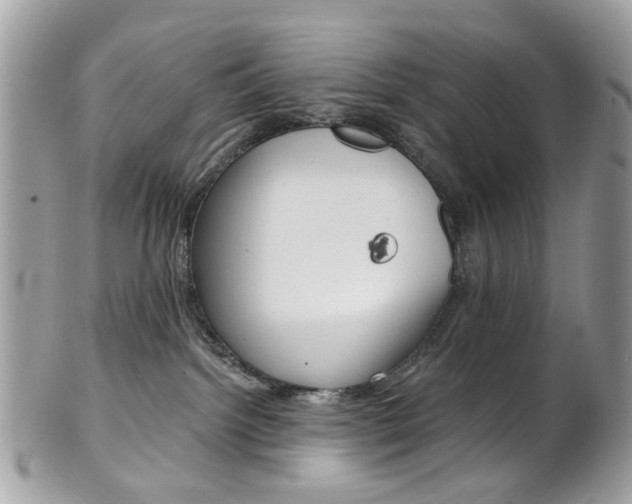 X0000101420092200807071041