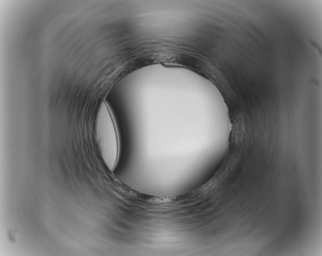 X0000101420093200807071041