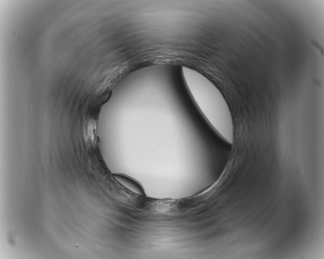 X0000101420094200807071041
