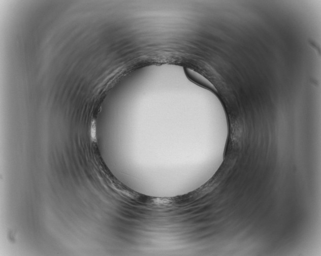 X0000101420095200807071041