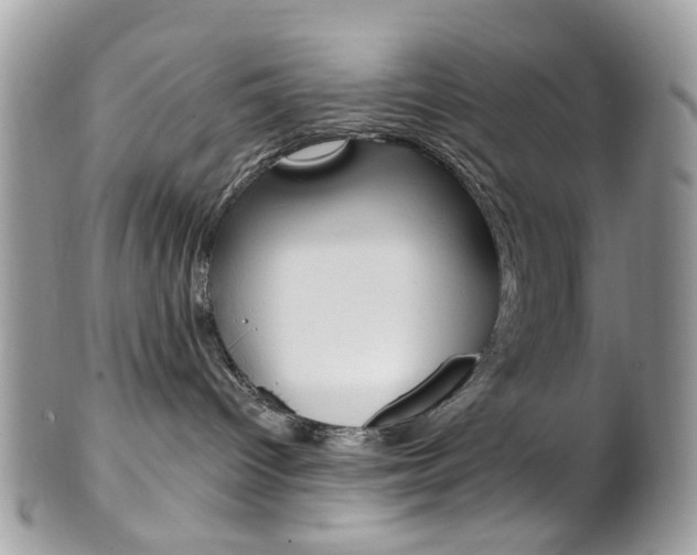 X0000101420096200807071041