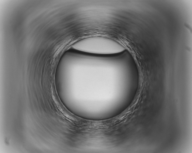 X0000101420097200807071041