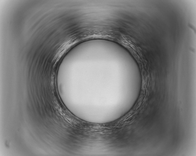 X0000101420098200807071041