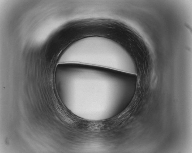 X0000101420099200807071040