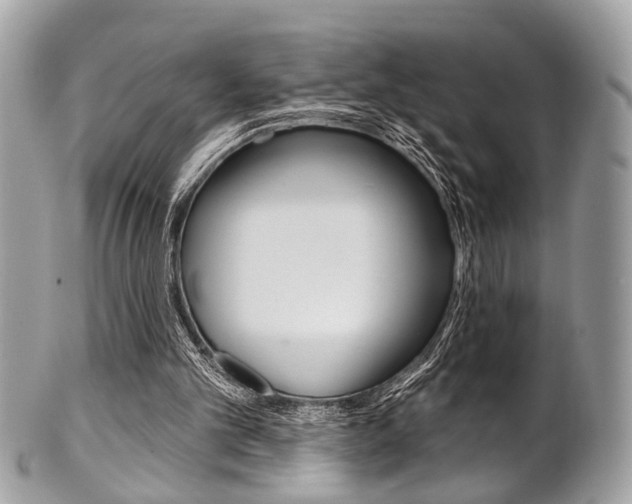 X0000101420101200807071040