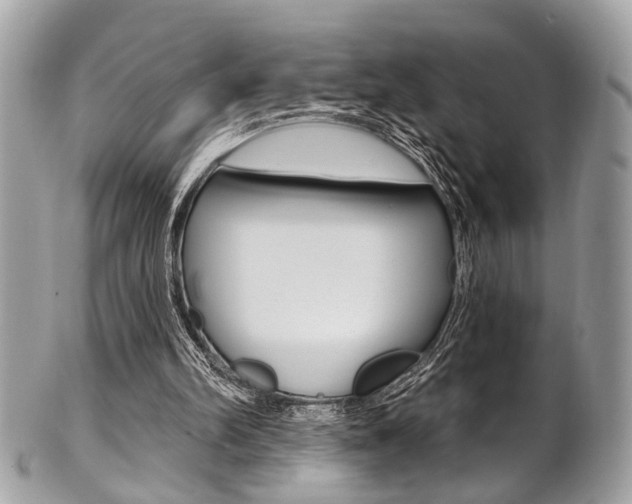 X0000101420102200807071040