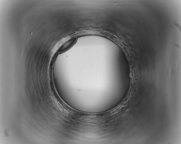 X0000101420104200807071040