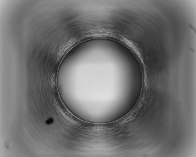 X0000101420105200807071040